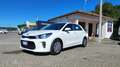 Kia Rio Rio 1.2 MPi 5 porte Active Bianco - thumbnail 1