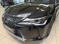Lexus UX 250h Style Edition *Bi-LED*ACC*CAM*CarPlay*PDC* Schwarz - thumbnail 34