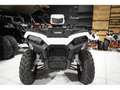 Polaris Sportsman 570 T3 44CV  WHITE LIGHTNING Beyaz - thumbnail 2