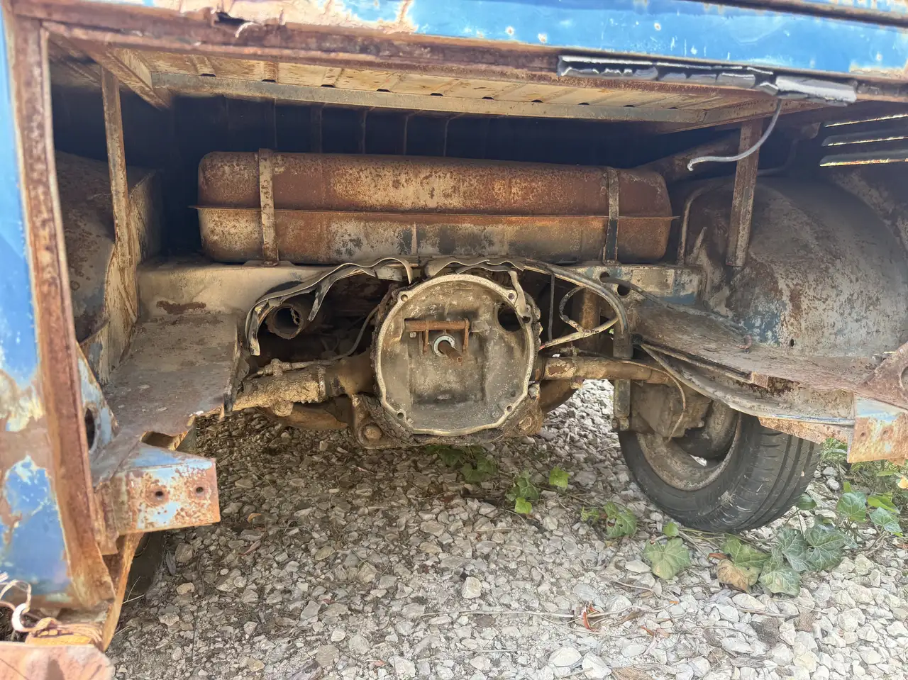 Volkswagen T1, foto 3