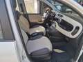 Fiat Panda 1.2 Easy Bianco - thumbnail 12