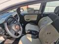 Fiat Panda 1.2 Easy Bianco - thumbnail 8