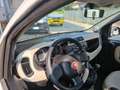 Fiat Panda 1.2 Easy Bianco - thumbnail 7