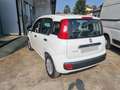 Fiat Panda 1.2 Easy Bianco - thumbnail 5