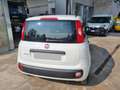 Fiat Panda 1.2 Easy Bianco - thumbnail 4