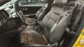 Ford Mustang - thumbnail 23