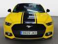 Ford Mustang - thumbnail 25