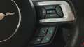Ford Mustang - thumbnail 15