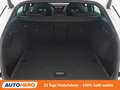 Skoda Octavia 2.0 TDI RS 4x4 Weiß - thumbnail 17