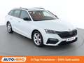 Skoda Octavia 2.0 TDI RS 4x4 Weiß - thumbnail 8