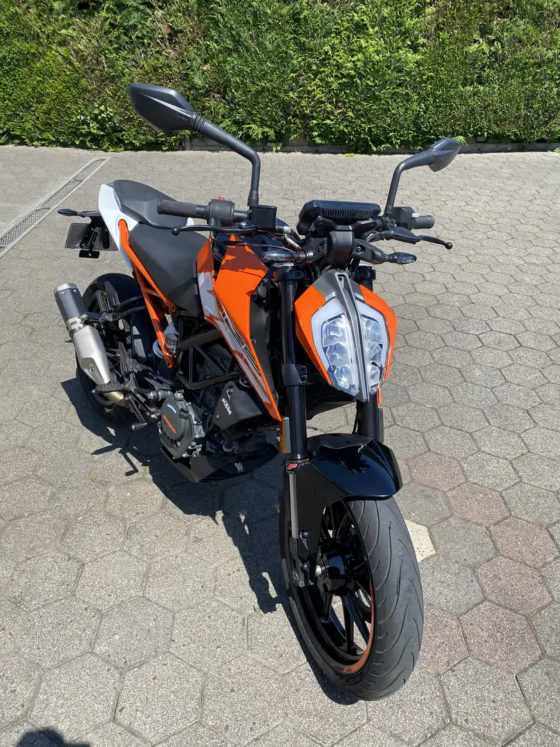 KTM 125 Duke Narancs - 2
