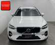 Volvo XC60 B4 D AWD AHK+KAMERA+GOOGLE+KEYLESS+ Alb - thumbnail 6