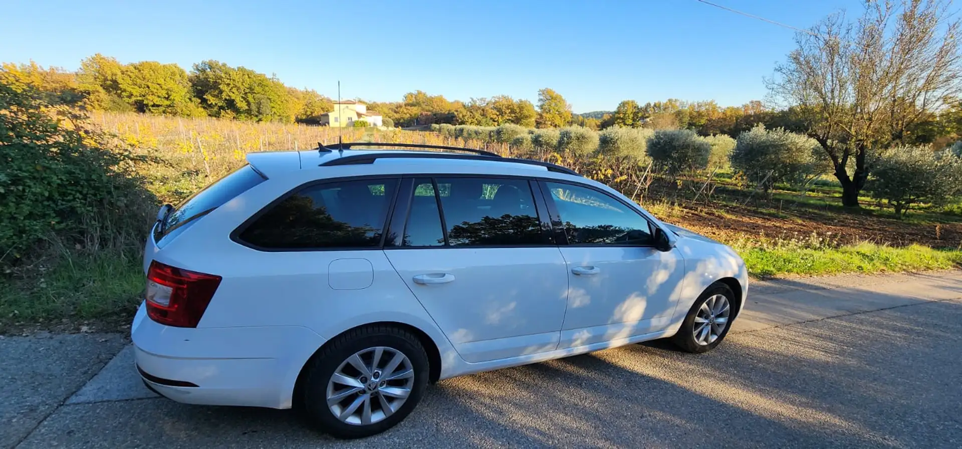 Skoda Octavia Octavia Combi 2.0 TDI 150 ch SCR FAP Style Blanc - 2