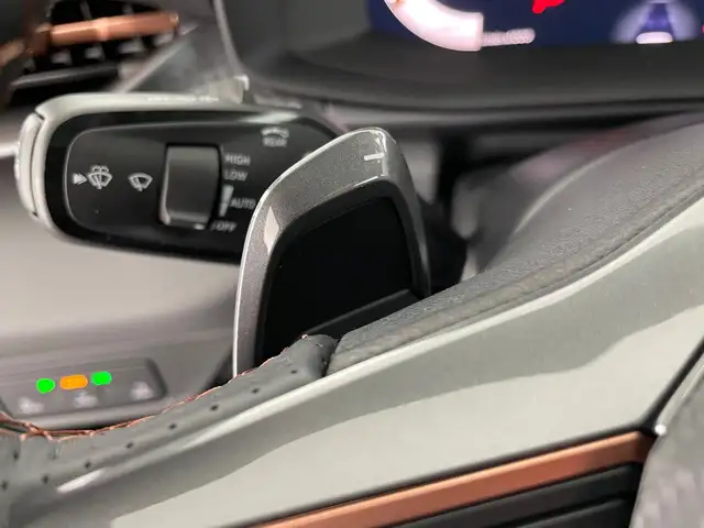 Cupra Terramar view 14