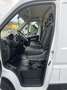 Citroen Jumper 35LH3 2.2BlueHDI 140cvFurgE6D 3700x1780x2100kg1338 Bianco - thumbnail 9