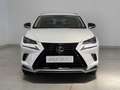 Lexus NX 300h NX NX-Series NX 300h HEV Premium aut  4WD Bianco - thumbnail 2