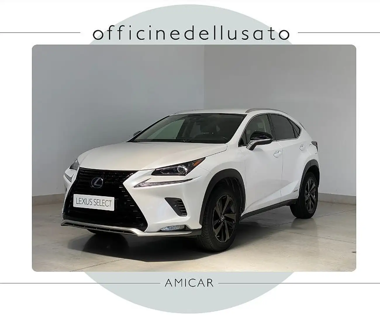 Lexus NX 300h NX NX-Series NX 300h HEV Premium aut  4WD Bianco - 1