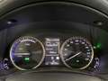 Lexus NX 300h NX NX-Series NX 300h HEV Premium aut  4WD Bianco - thumbnail 15