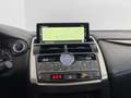 Lexus NX 300h NX NX-Series NX 300h HEV Premium aut  4WD Bianco - thumbnail 14