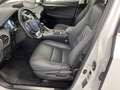 Lexus NX 300h NX NX-Series NX 300h HEV Premium aut  4WD Bianco - thumbnail 5