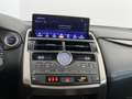 Lexus NX 300h NX NX-Series NX 300h HEV Premium aut  4WD Bianco - thumbnail 12