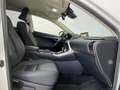 Lexus NX 300h NX NX-Series NX 300h HEV Premium aut  4WD Bianco - thumbnail 9