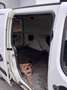 Fiat Doblo 1,9 Cargo MAXI - thumbnail 6