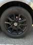 Volkswagen Golf Golf Sport Austria 1,6 TDI Sport Austria Grau - thumbnail 10