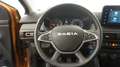 Dacia Sandero 1.0 TCE 67KW STEPWAY EXPRESSION 91 5P Naranja - thumbnail 12