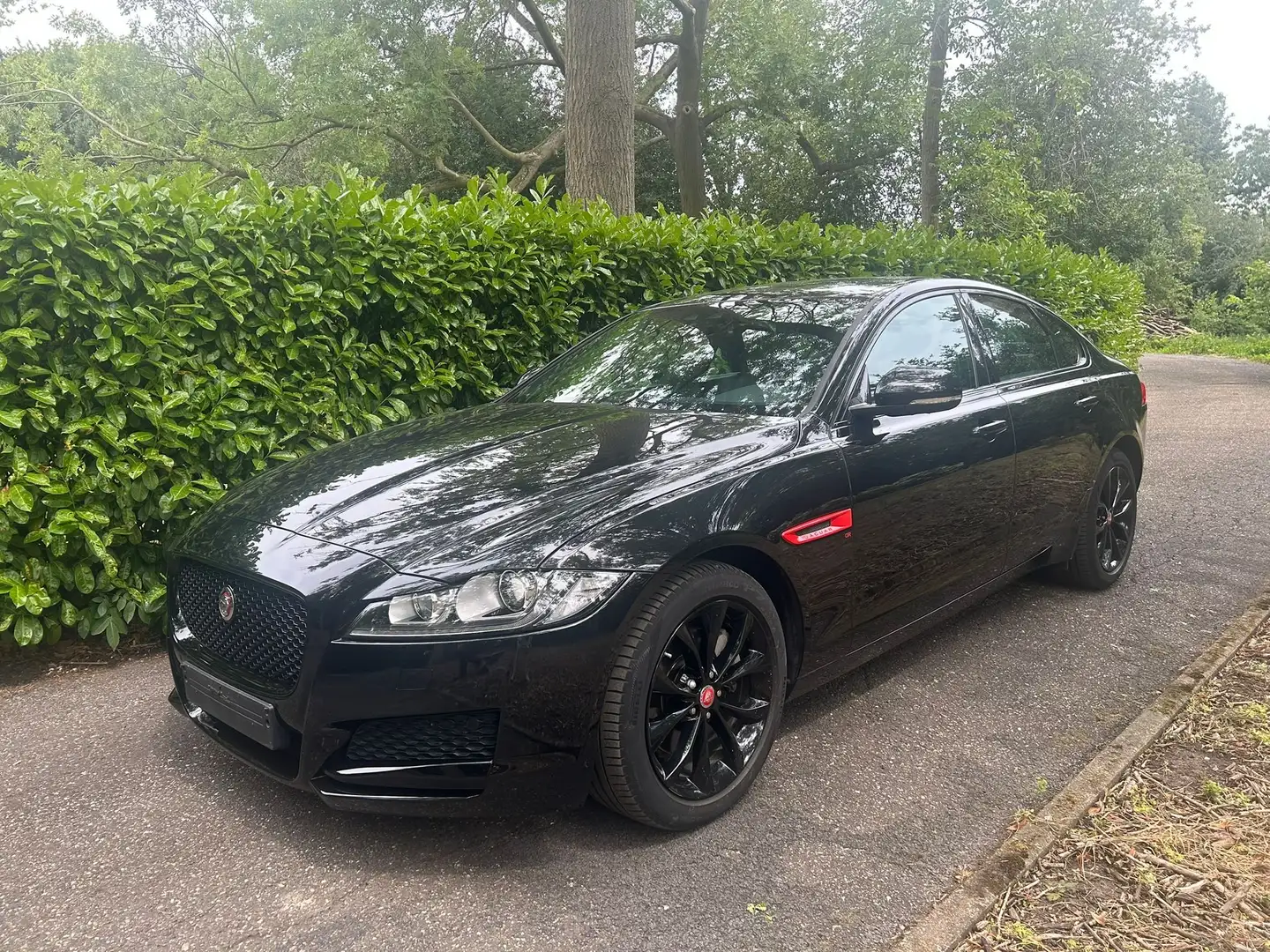 Jaguar XF XF P250 SE Noir - 1