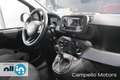 Fiat Panda Panda 1.0 70cv Hybrid Panda My25 Nero - thumbnail 13