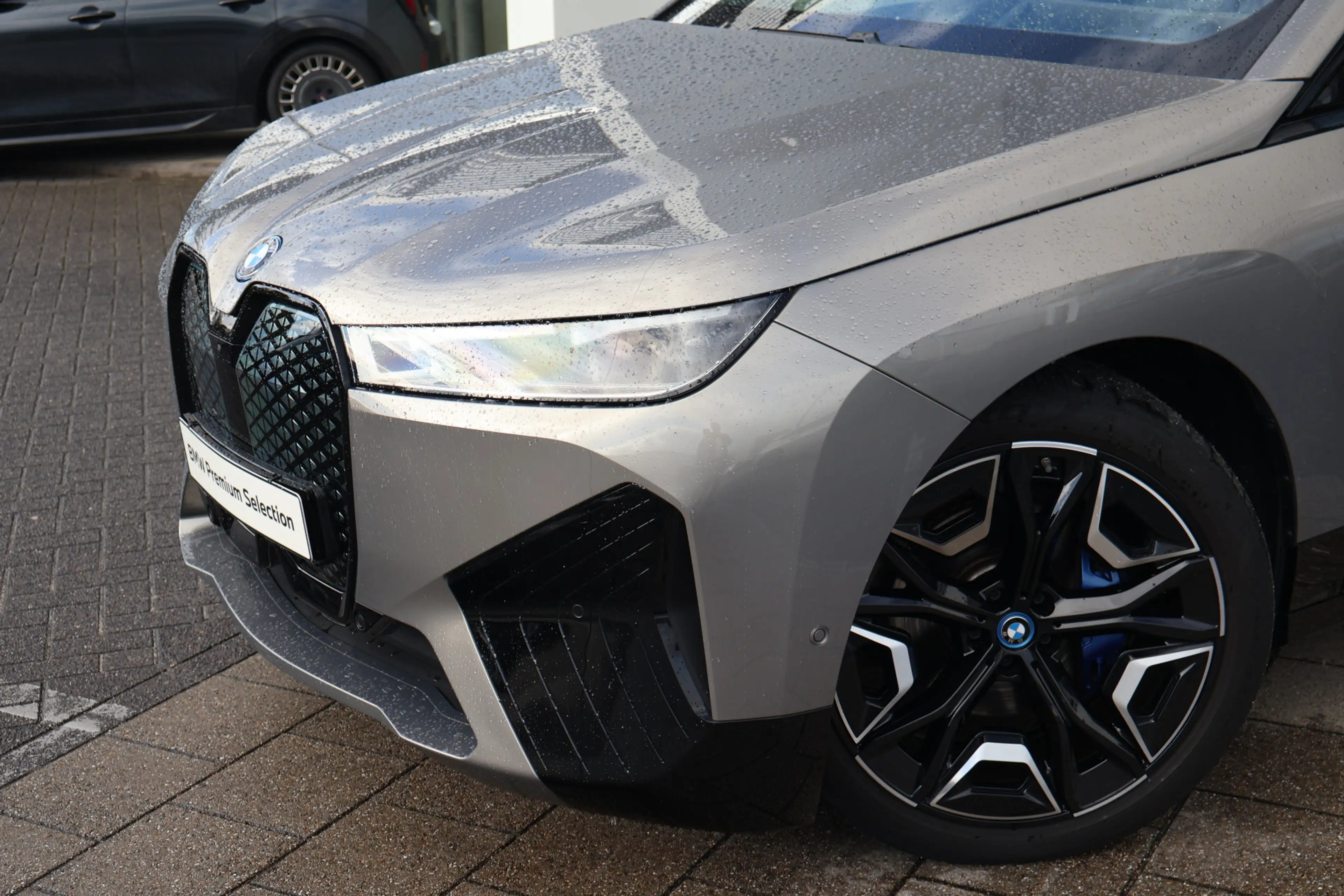 BMW iX xDrive40 / Sportpakket / Panoramadak Sky Lounge / — photo 2