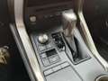 Lexus NX 300h 2.5 F Sport CVT 4WD Bianco - thumbnail 11