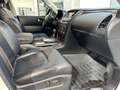 Nissan Patrol 5.6L V8 Weiß - thumbnail 36
