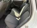 SEAT Ibiza Style 1.0 TSI LED/Navi/DAB/EPH/uvm. Weiß - thumbnail 9