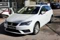 SEAT Leon Leon 1.6 TDI 115 CV DSG ST Business Bianco - thumbnail 1