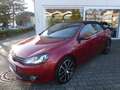 Volkswagen Golf Cabriolet "Cup" 1.2 TSI BMT * gepflegt Rot - thumbnail 1