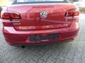 Volkswagen Golf Cabriolet "Cup" 1.2 TSI BMT * gepflegt Rot - thumbnail 16