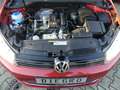 Volkswagen Golf Cabriolet "Cup" 1.2 TSI BMT * gepflegt Rot - thumbnail 20
