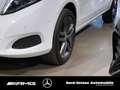 Mercedes-Benz V 250 AVANTGARDE EDITION 4MATIC DISTRONIC DAB Bílá - thumbnail 5