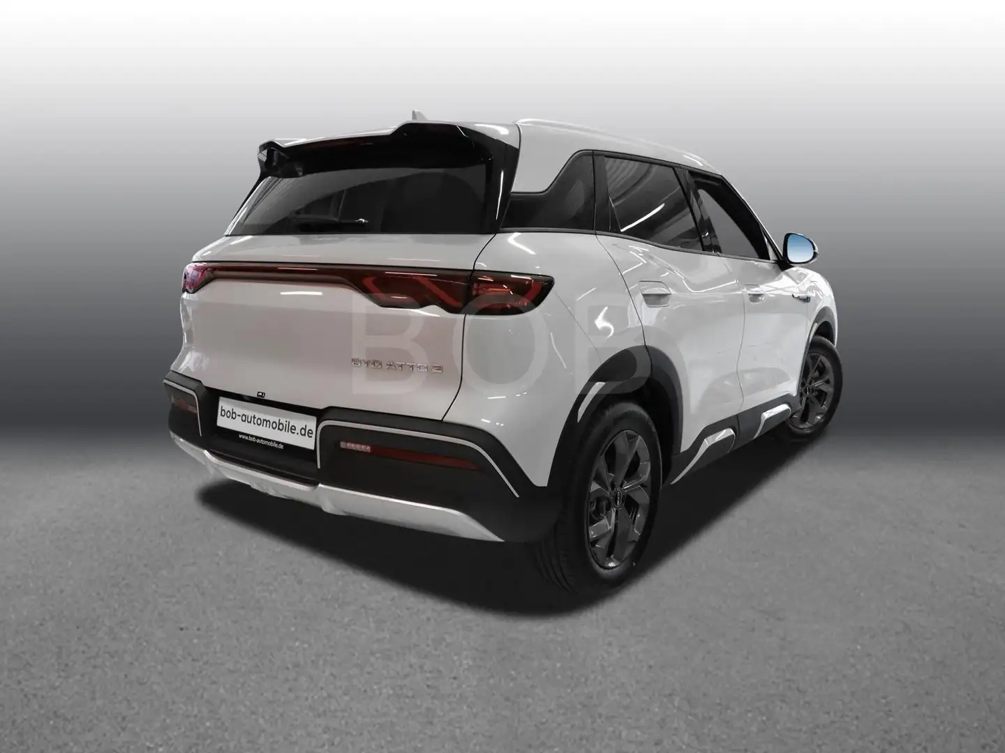 BYD Atto 2 Active NAVI RFK KLIMA BT LED Wit - 2