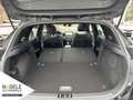 Kia Ceed / cee'd 1.5 T-GDI GT-Line|Aut.|GD|Leder|Tec.| Noir - thumbnail 13