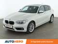 BMW 120 120d Advantage Aut.*NAVI*LED*TEMPO*PDC*SHZ* Weiß - thumbnail 1