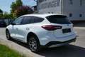 Ford Focus Active Weiß - thumbnail 6