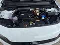 Ford Capri 210kW RWD Premium (sehr viele Extras) Blanc - thumbnail 21