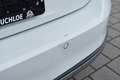 Volkswagen Passat Alltrack Blanco - thumbnail 25