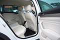 Volkswagen Passat Alltrack Blanco - thumbnail 27