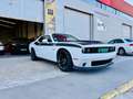 Dodge Challenger R/T Plus Aut. Blanco - thumbnail 1