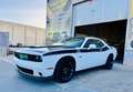 Dodge Challenger R/T Plus Aut. Blanco - thumbnail 4