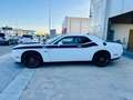 Dodge Challenger R/T Plus Aut. Blanco - thumbnail 6